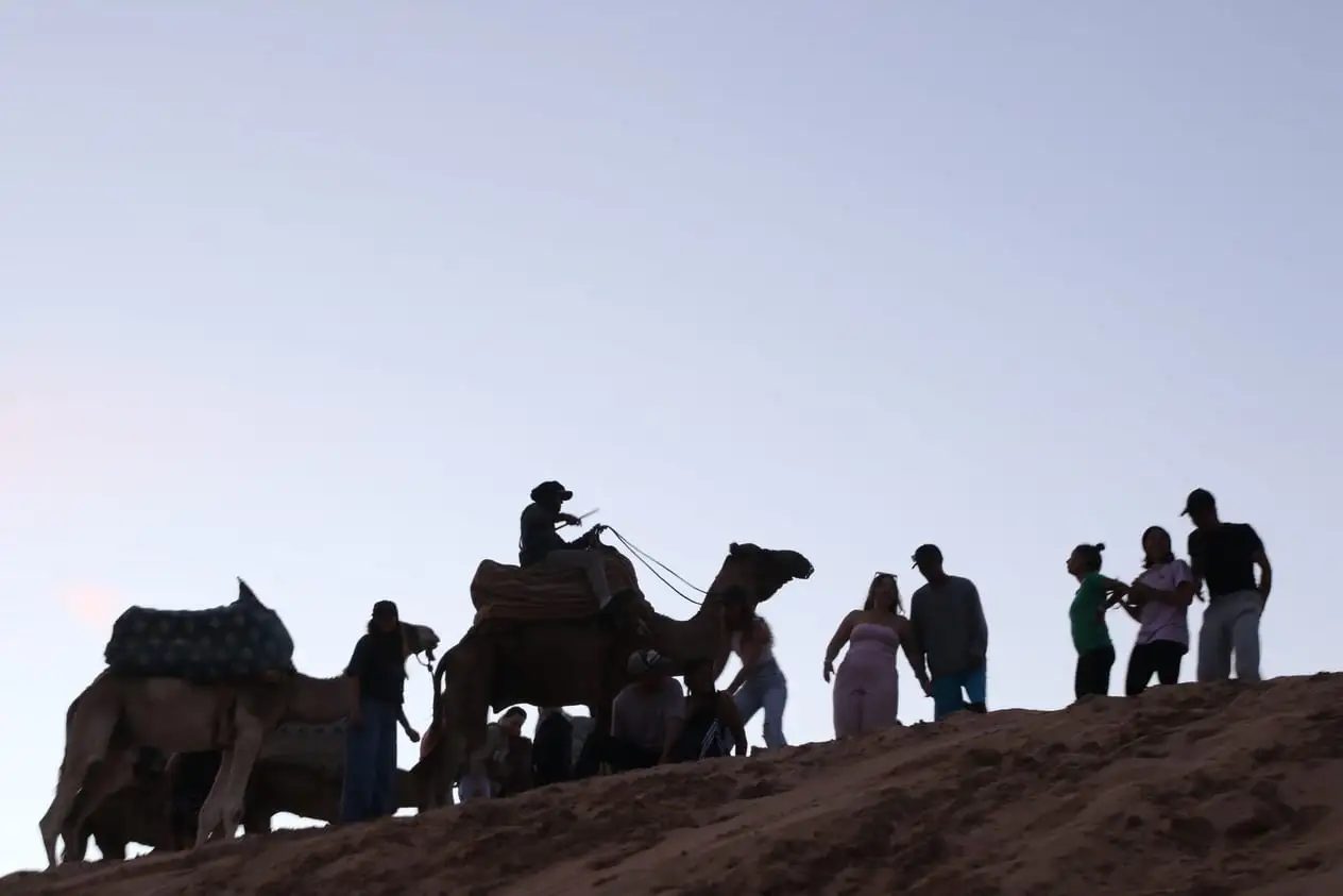 Siluetas de camellos y del grupo sobre una duna al anochecer