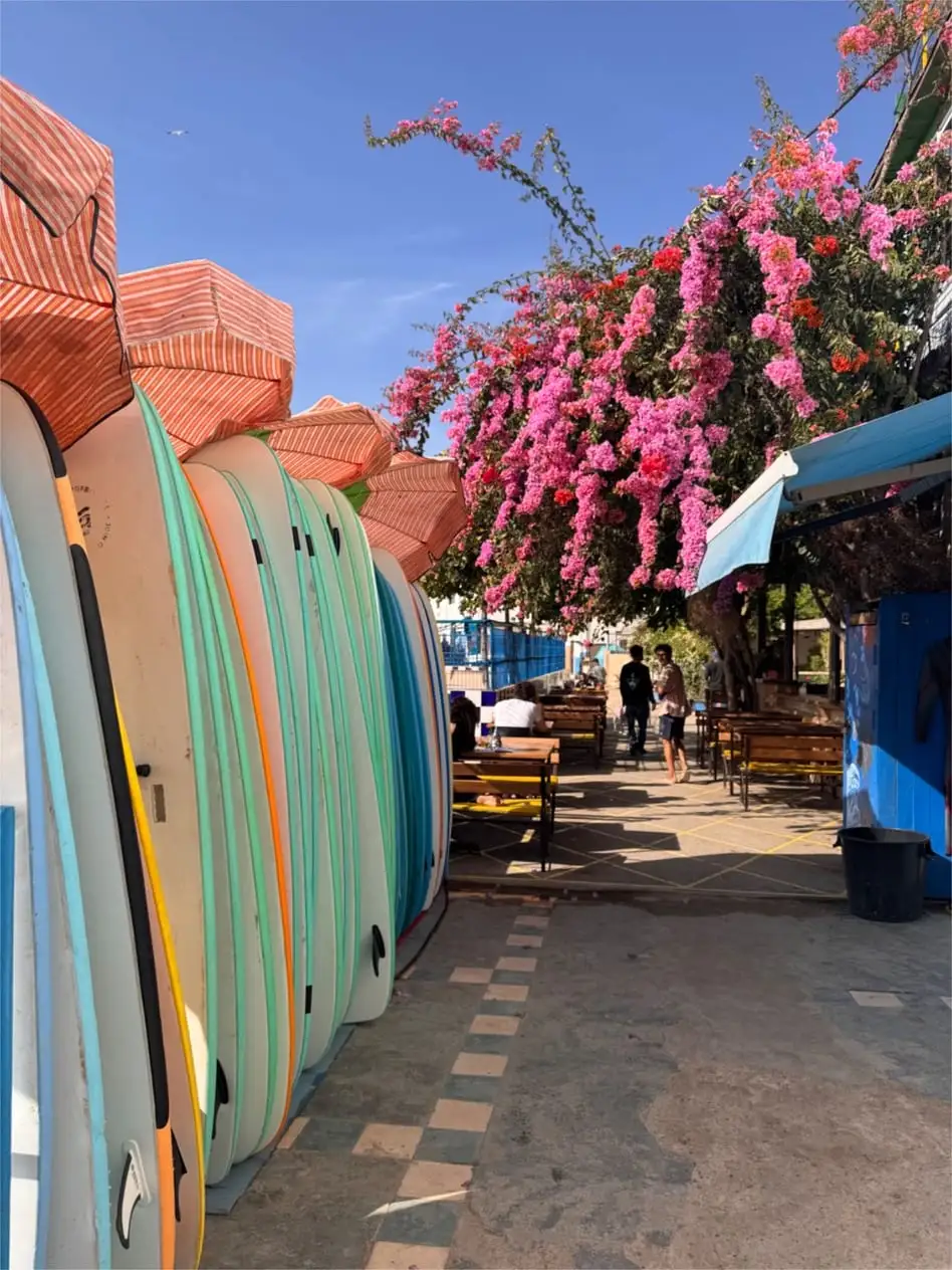 Tablas de surf apoyadas en fila junto a una buganvilla en flor